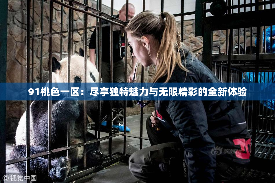 91桃色一区：尽享独特魅力与无限精彩的全新体验