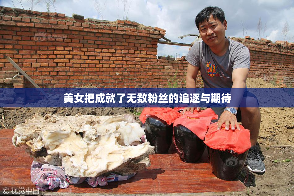 美女把成就了无数粉丝的追逐与期待