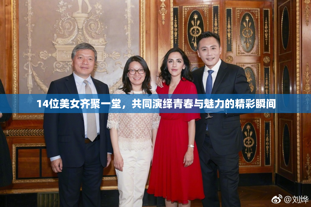 14位美女齐聚一堂，共同演绎青春与魅力的精彩瞬间