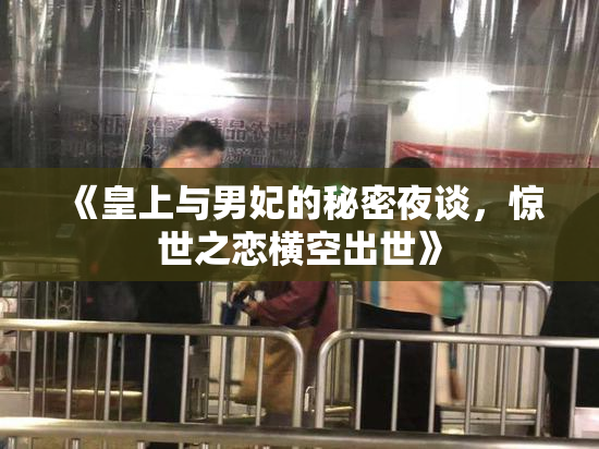 《皇上与男妃的秘密夜谈，惊世之恋横空出世》