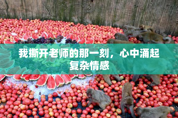 我撕开老师的那一刻，心中涌起复杂情感