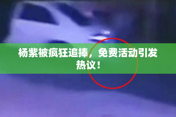 杨紫被疯狂追捧，免费活动引发热议！