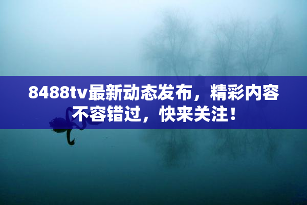 8488tv最新动态发布，精彩内容不容错过，快来关注！