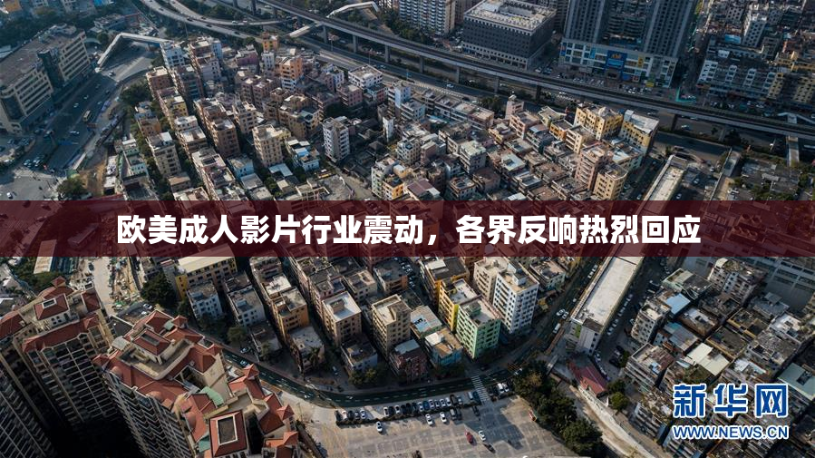 欧美成人影片行业震动，各界反响热烈回应