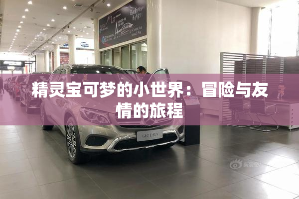 精灵宝可梦的小世界：冒险与友情的旅程
