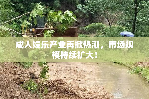 成人娱乐产业再掀热潮，市场规模持续扩大！