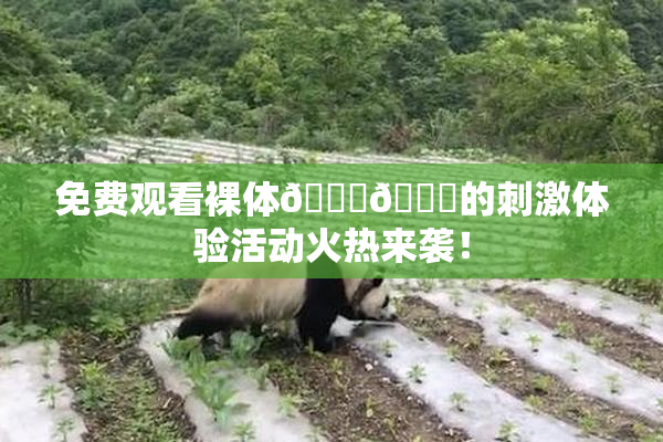 免费观看裸体🔞🔞的刺激体验活动火热来袭！
