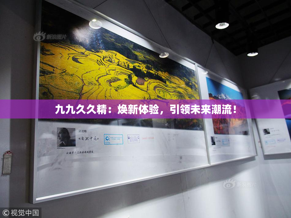 九九久久精：焕新体验，引领未来潮流！