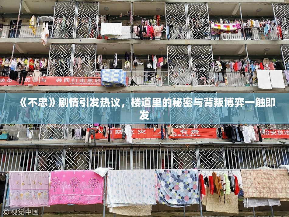 《不忠》剧情引发热议，楼道里的秘密与背叛博弈一触即发
