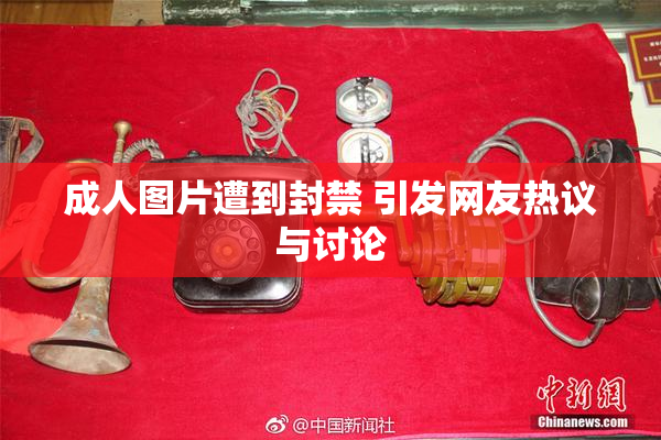 成人图片遭到封禁 引发网友热议与讨论