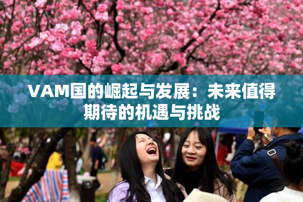 VAM国的崛起与发展：未来值得期待的机遇与挑战