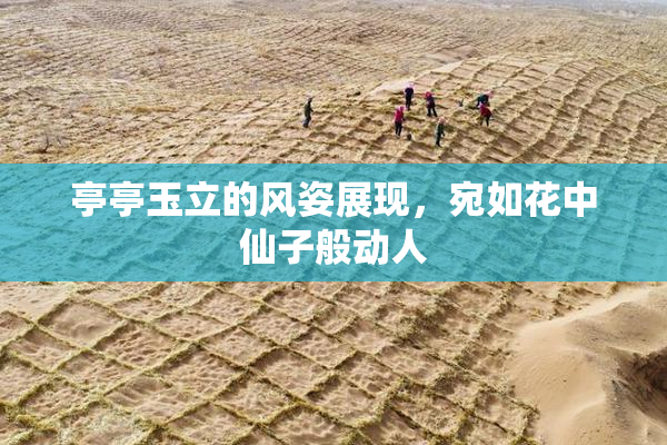 亭亭玉立的风姿展现，宛如花中仙子般动人