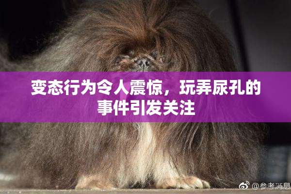 变态行为令人震惊，玩弄尿孔的事件引发关注
