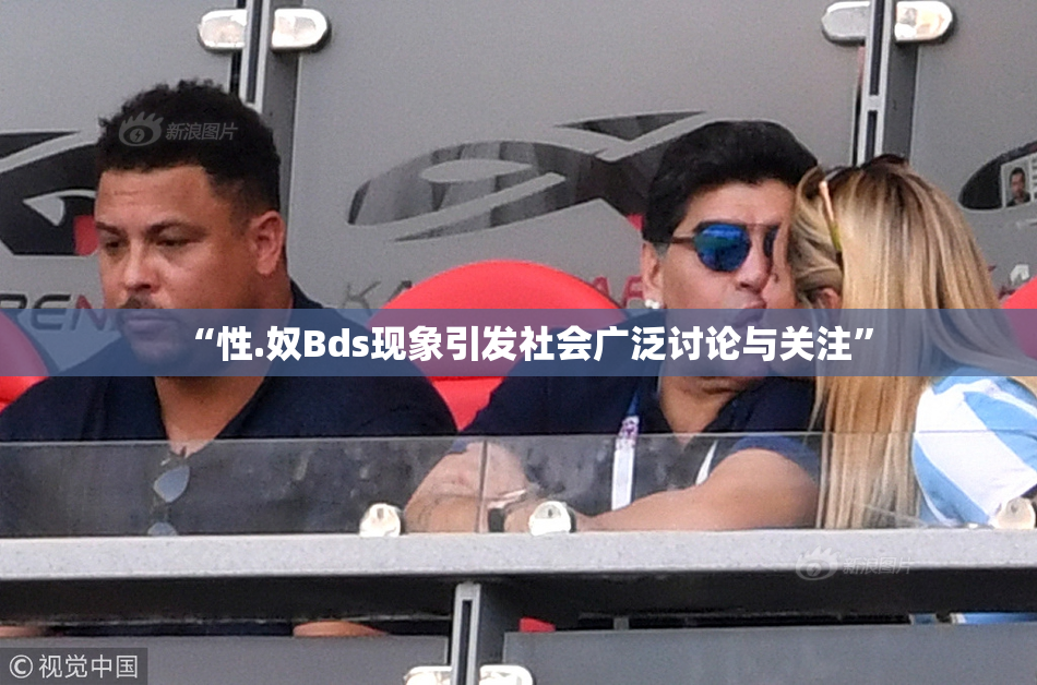“性.奴Bds现象引发社会广泛讨论与关注”