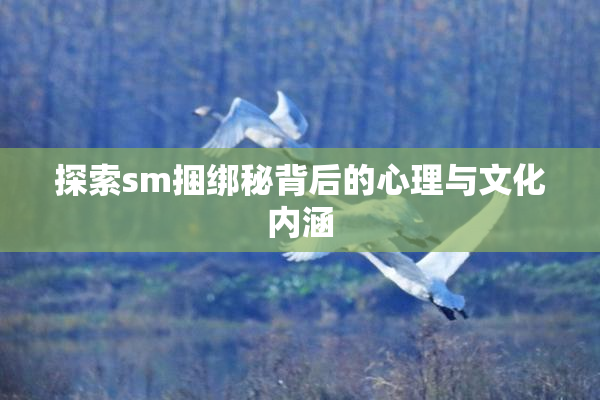 探索sm捆绑秘背后的心理与文化内涵