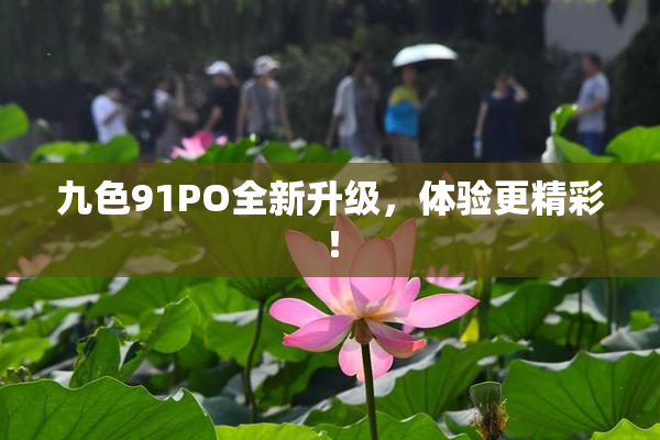 九色91PO全新升级，体验更精彩！