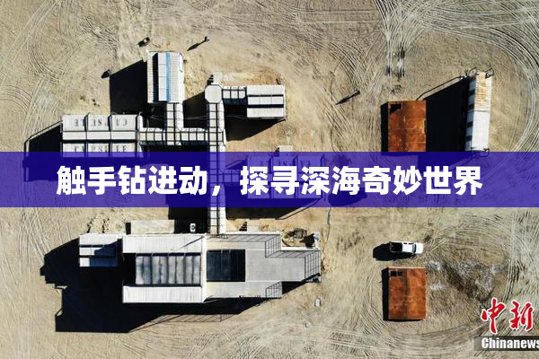 触手钻进动，探寻深海奇妙世界