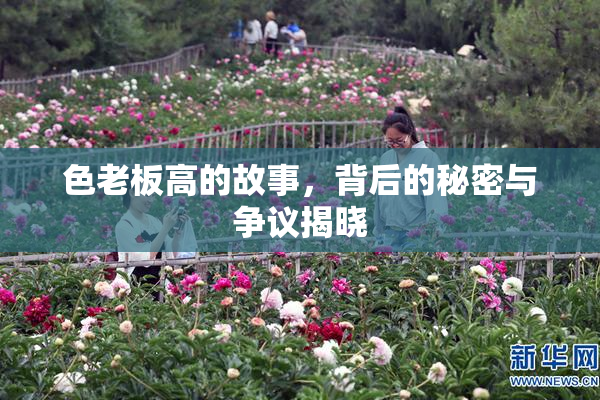 色老板高的故事，背后的秘密与争议揭晓