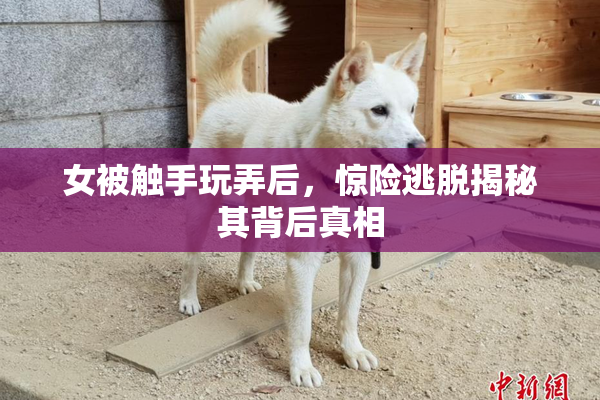 女被触手玩弄后，惊险逃脱揭秘其背后真相