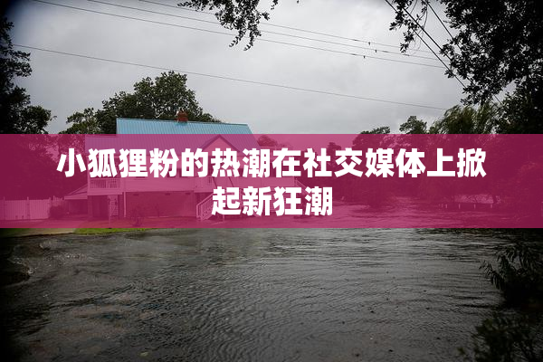 小狐狸粉的热潮在社交媒体上掀起新狂潮