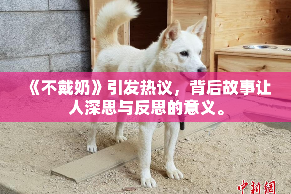 《不戴奶》引发热议，背后故事让人深思与反思的意义。