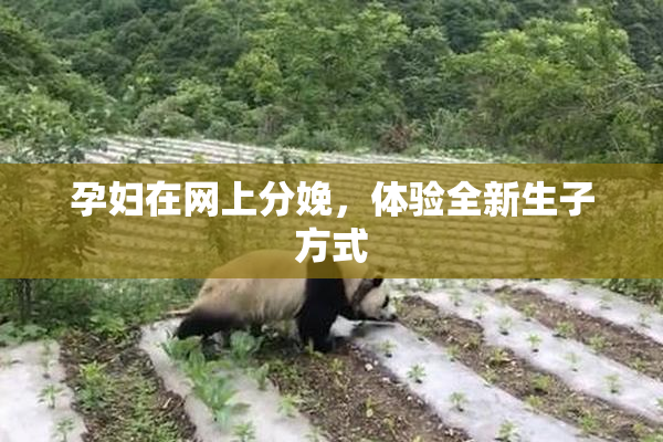 孕妇在网上分娩，体验全新生子方式