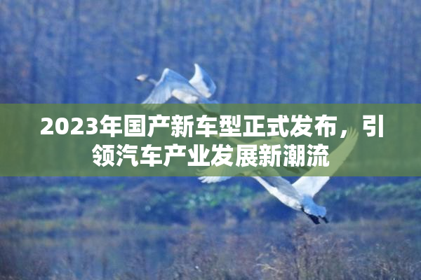 2023年国产新车型正式发布，引领汽车产业发展新潮流