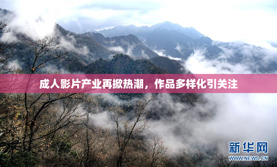 成人影片产业再掀热潮，作品多样化引关注