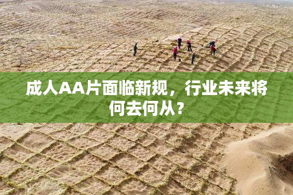 成人AA片面临新规，行业未来将何去何从？