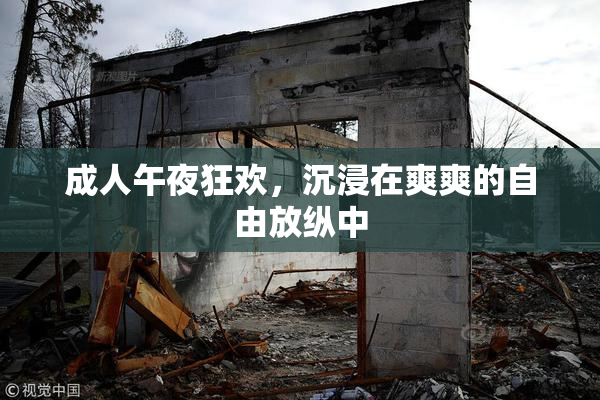 成人午夜狂欢，沉浸在爽爽的自由放纵中