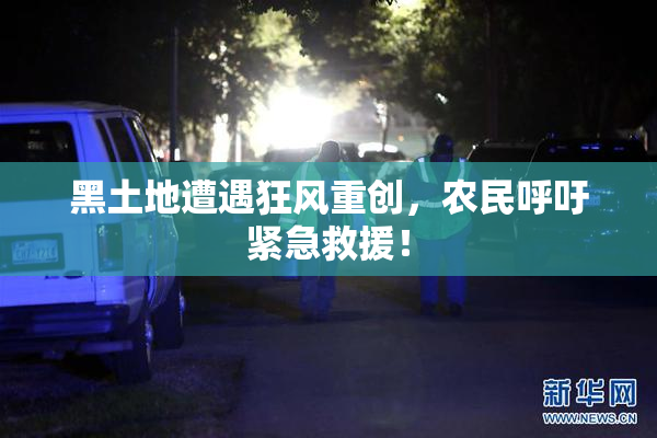 黑土地遭遇狂风重创，农民呼吁紧急救援！