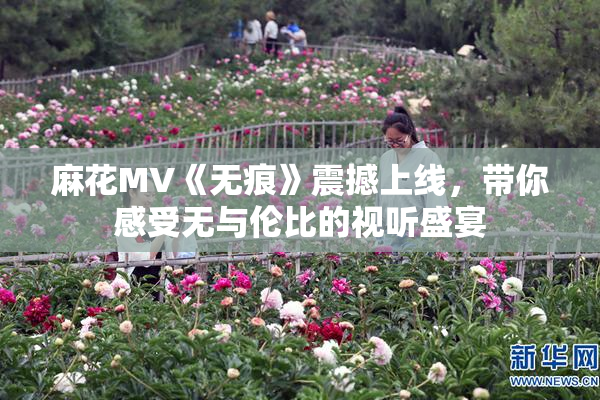麻花MV《无痕》震撼上线，带你感受无与伦比的视听盛宴