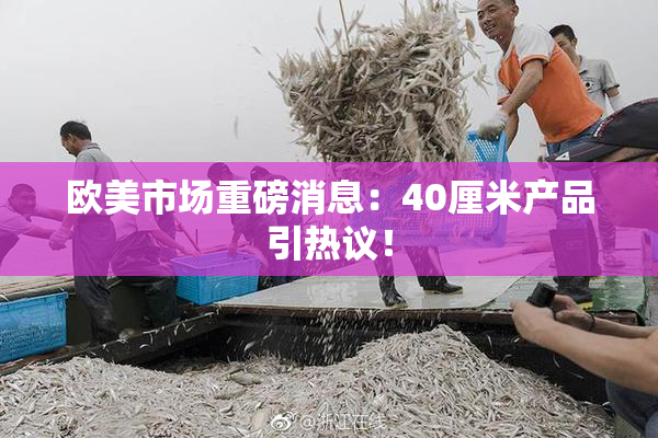 欧美市场重磅消息：40厘米产品引热议！