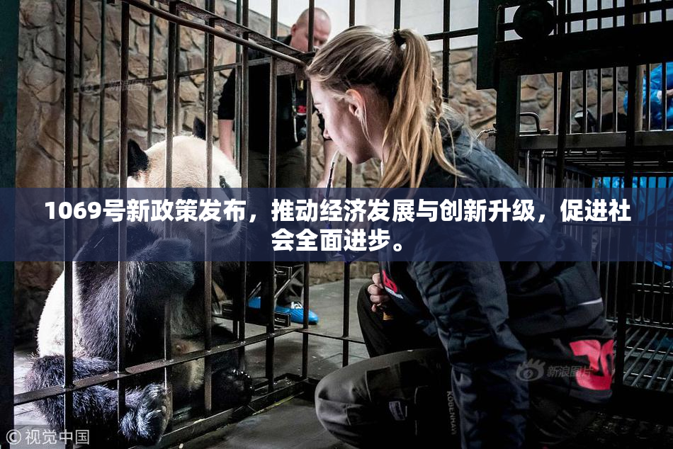 1069号新政策发布，推动经济发展与创新升级，促进社会全面进步。