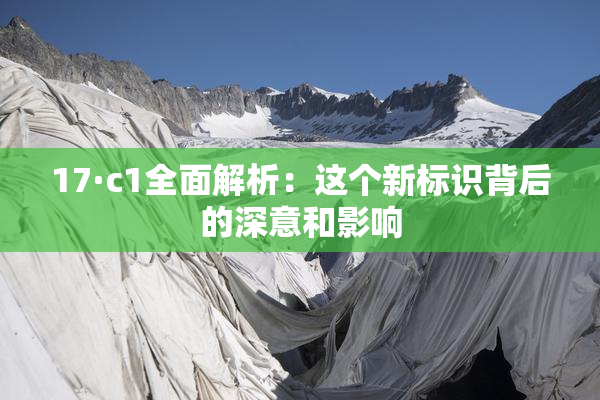 17·c1全面解析：这个新标识背后的深意和影响