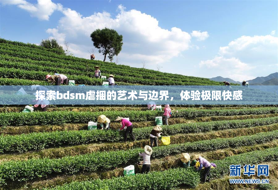 探索bdsm虐捆的艺术与边界，体验极限快感