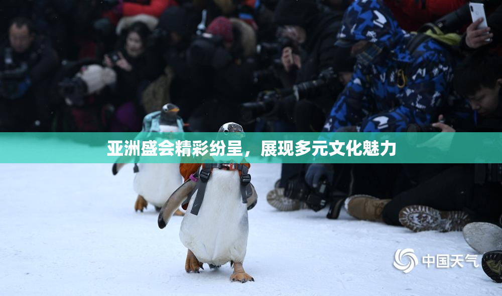 亚洲盛会精彩纷呈，展现多元文化魅力