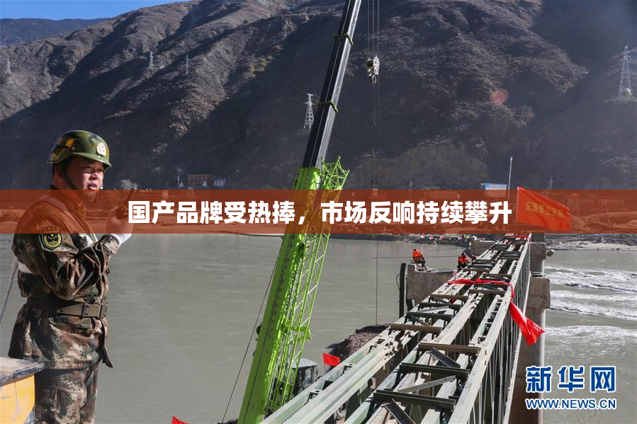 国产品牌受热捧，市场反响持续攀升