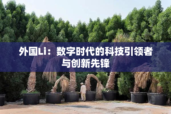 外国Li：数字时代的科技引领者与创新先锋