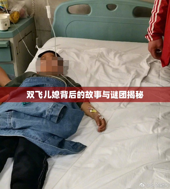 双飞儿媳背后的故事与谜团揭秘