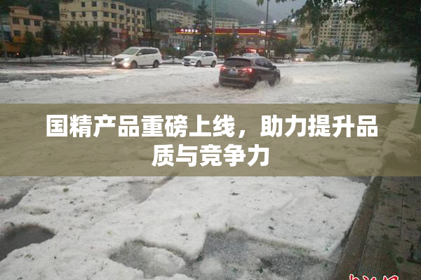 国精产品重磅上线，助力提升品质与竞争力