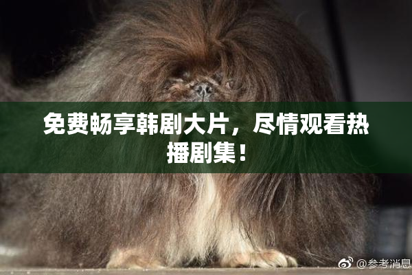 免费畅享韩剧大片，尽情观看热播剧集！