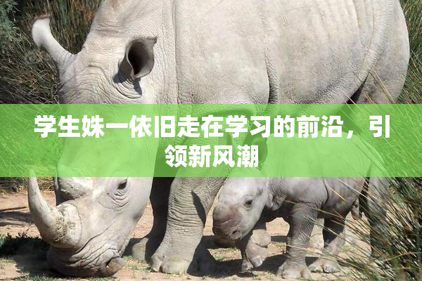 学生姝一依旧走在学习的前沿，引领新风潮