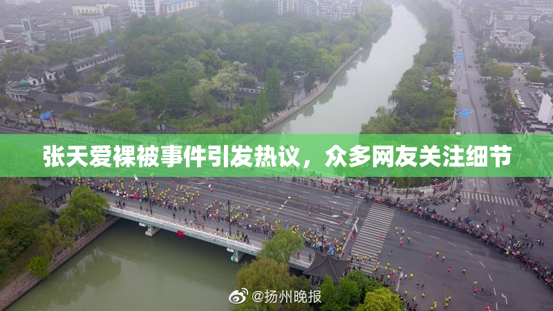 张天爱裸被事件引发热议，众多网友关注细节