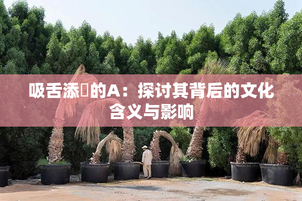 吸舌添泬的A：探讨其背后的文化含义与影响