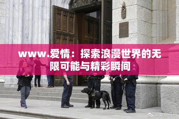 www.爱情：探索浪漫世界的无限可能与精彩瞬间