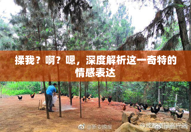 揉我？啊？嗯，深度解析这一奇特的情感表达
