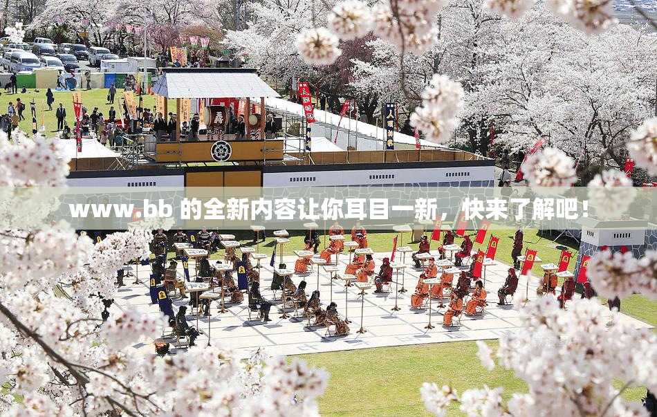 www.bb 的全新内容让你耳目一新，快来了解吧！