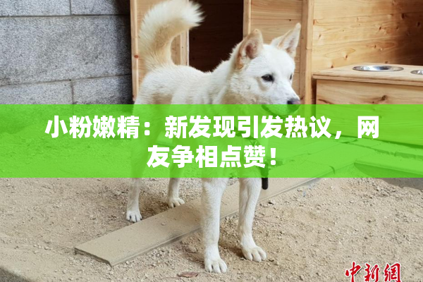 小粉嫩精：新发现引发热议，网友争相点赞！