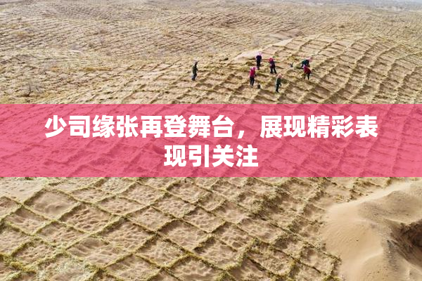 少司缘张再登舞台，展现精彩表现引关注
